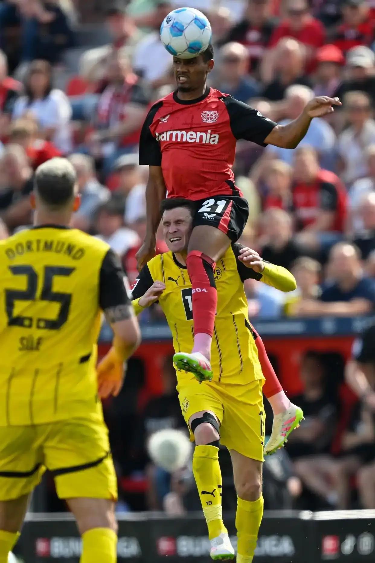 大黄蜂球队主场取胜，实现三连胜