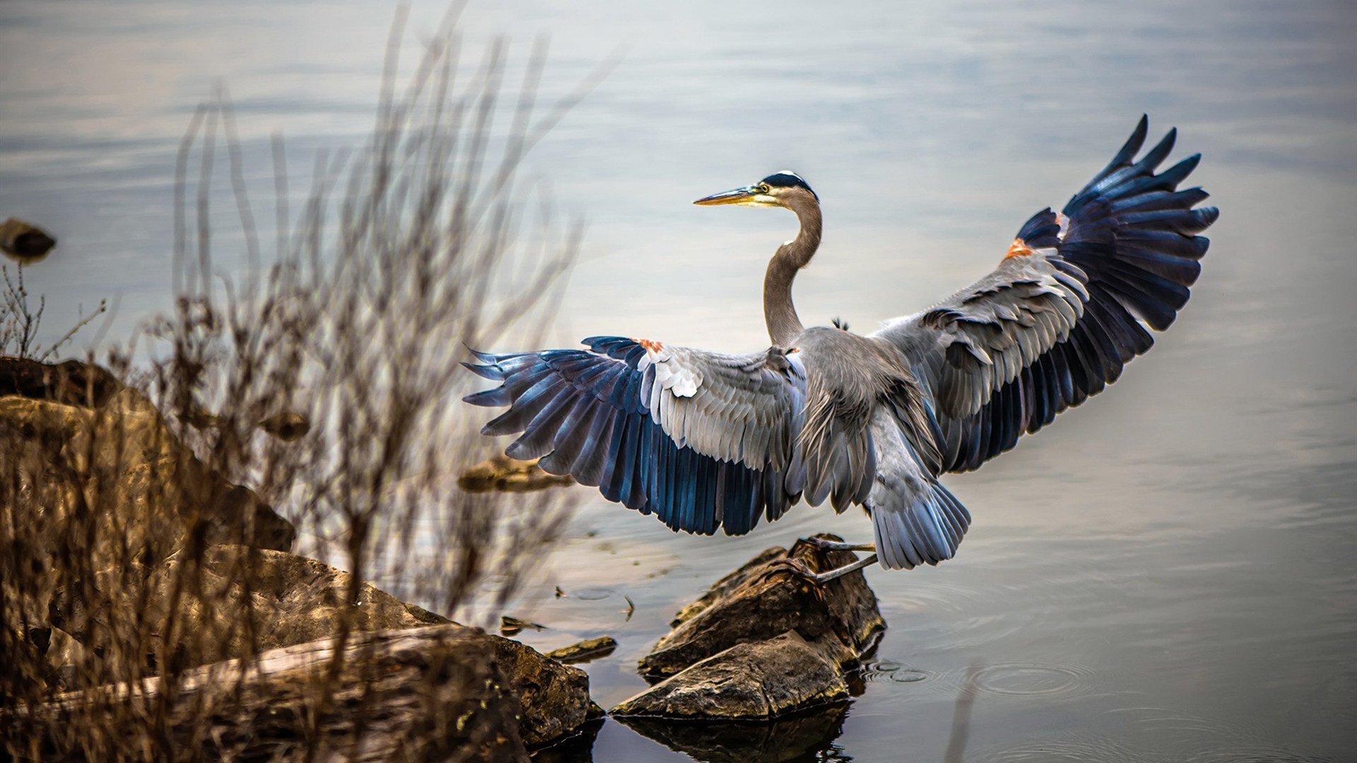IM体育世界杯2026-独行侠一波带走奇才，文班亚马成为关键先生